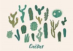 Cactus collection set. Vector illustration. Design element 299966 ...
