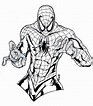 spiderman-colorear-27 - SPIDER-MAN