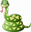 ᐈ Cartoon anaconda stock illustrations, Royalty Free anaconda pictures ...