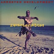Arrested Development – Zingalamaduni (1994, Vinyl) - Discogs