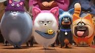 Illumination's 'The Secret Life of Pets 2': Audiences Like It; Critics ...