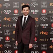 Andrés Gertrudix en la alfombra roja de los Premios Goya 2018 ...