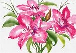 Pink lilies watercolor stock illustration. Illustration of drawing ...