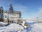 Best Time and Place to See Polar Bears in Churchill - Trip Support