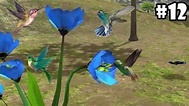 Ultimate Bird Simulator - Life of Hummingbird - Android/iOS - Gameplay ...