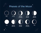 Phases of the Moon - CPRE Somerset