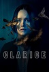 Banco de Séries - Organize as séries de TV que você assiste - Clarice