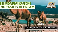 Biblical Meaning of CAMELS in Dream - Camel Dream Interpretation - YouTube