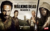 The Walking Dead - The Walking Dead Wallpaper (32516514) - Fanpop