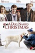 A Dog Named Christmas Pictures - Rotten Tomatoes
