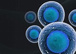 Cellular Research Launches Grant Program for a Free Single Cell Gene ...