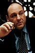 Tony Soprano | Sopranos, Tony soprano, Actors