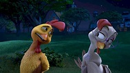 Watch The Rooster Download HD Free