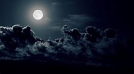 noche estrellada wallpaper - Buscar con Google | Full moon photography ...