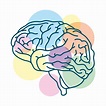 cerebro humano con círculos de colores 1890134 Vector en Vecteezy