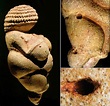 Mystery Solved: The Origin of the 30,000-Year-Old Venus of Willendorf