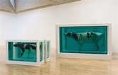 Mother and Child (Divided), 1993 by Damien Hirst: History, Analysis ...
