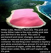 Hillier Lake, Western Australia, fun facts - Dump A Day