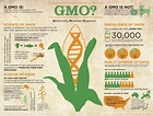 interesting infographic | Gmo facts, Genetically modified food, Gmo foods