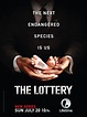 8 películas y series en las que la lotería es la protagonista