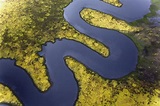 Aerial View Of Serpentine River Photograph by Adam Jones