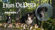 Hijos de perra – Tráiler oficial 2 (Universal Pictures) HD - YouTube