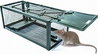 T-Raputa trampas Ratones,ratoneras para Ratas Grandes para capturar ...