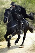 The Legend of Zorro Picture 7 | The mask of zorro, The legend of zorro ...