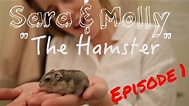 Sara & Molly - Web Series - Episode 1 "The Hamster" - YouTube