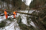 Wetter: Sturmtief "Friederike" - acht Tote und Schäden in Millionenhöhe ...