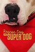 Watch Rescue Dog to Super Dog Online | Season 1 (2017) | TV Guide