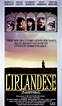 L'irlandese (1988) | FilmTV.it