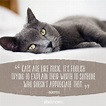 50 Cat quotes that perfectly explain your love for kitties | Cat quotes ...