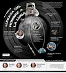 El hombre en la Luna #infografia #infographic | Infografías en castellano
