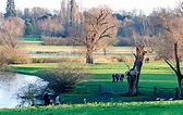 Walking in Grantchester Meadows, Cambridge | British countryside ...