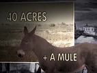 40 Acres & a Mule - YouTube