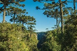 Itaimbezinho Canyon with steep rocky cliffs in a flat plateau covered ...