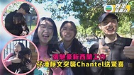 張馳豪新西蘭工作 孖潘靜文突襲Chantel送驚喜 - YouTube