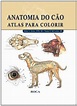 Anatomia do Cão - Atlas para Colorir - Maravilha Livros