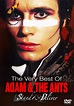 Best Buy: Stand & Deliver: The Very Best of Adam & the Ants [DVD]