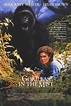 Gorillas in the Mist Movie Review (1988) | Roger Ebert