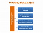 Organigrama De Un Museo | Images and Photos finder