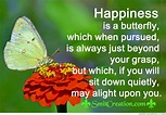 Happiness is a butterfly - SmitCreation.com