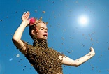 Film Stills – Queen of the Sun: What Are the Bees Telling Us?