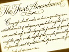 Amendment I to the US Constitution: An Overview - David J. Shestokas
