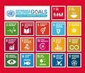 Swisso Kalmo und UNO Agenda 2030 für nachhaltige Entwicklung – IFOR ...