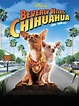 Beverly Hills Chihuahua - Where to Watch and Stream - TV Guide