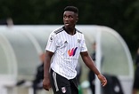 Ghanaian forward Terry Ablade makes cameo in Fulham’s loss against ...