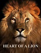 Martinelli Films | Heart Of a Lion