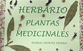 Herbario de Plantas Medicinales | Colegio Montealbir
